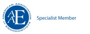 AAE Specialist Member, American Association of Endodontists